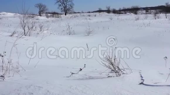 干草在雪地里迎风招展2月视频的预览图