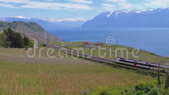 瑞士火车在靠近日内瓦湖和阿尔卑斯山的山坡上沿着风景铁路行驶瑞士视频的预览图