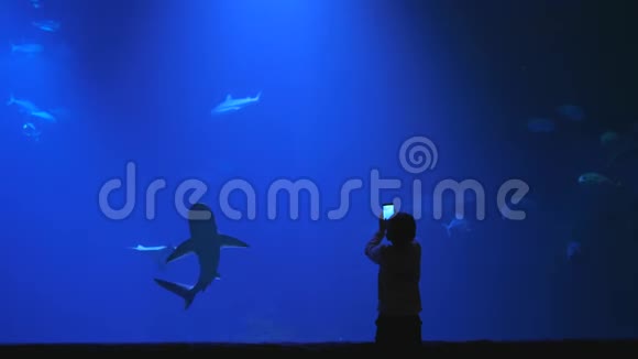 海洋馆儿童用手机在大型水族馆拍照视频的预览图