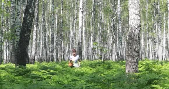 一个年轻的女人穿过一片白桦林在篮子里收集蘑菇鲜花浆果视频的预览图