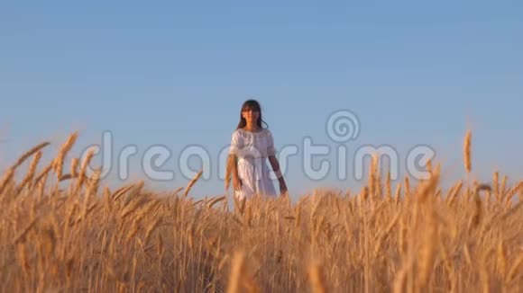 在一片成熟的麦子上跳舞快乐的女孩穿着白色的裙子慢动作视频的预览图