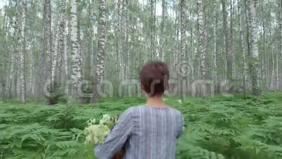 一个年轻的女人穿过一片白桦林在篮子里收集蘑菇鲜花浆果视频的预览图