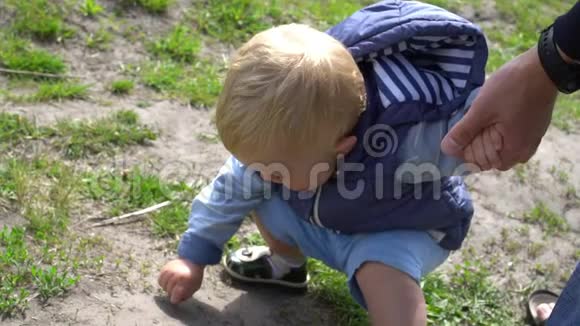 在阳光明媚的日子里小儿子在爸爸的帮助下试图在公园的地上摸一只蚂蚁视频的预览图