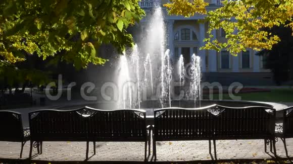 在城市公园的朝阳喷泉Gomel白俄罗斯视频的预览图