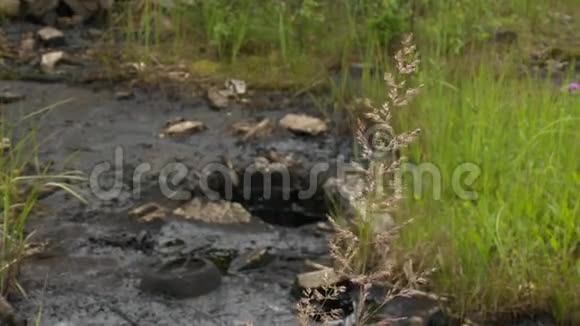 土壤覆盖黑色油液自然污染环境损害视频的预览图