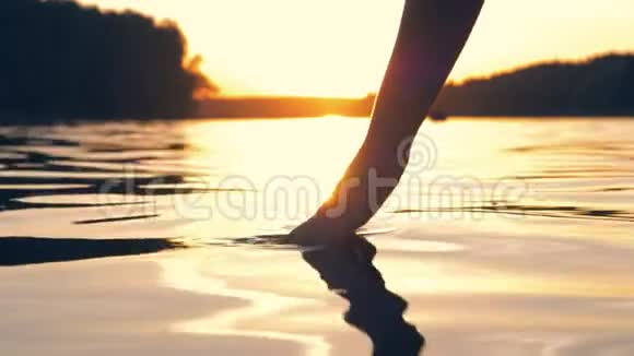手轻轻地抚摸金色夕阳下池塘的水面视频的预览图