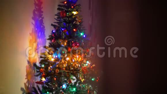 傍晚圣诞树的光辉视频的预览图