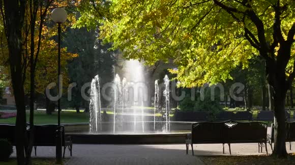 在城市公园的朝阳喷泉Gomel白俄罗斯视频的预览图