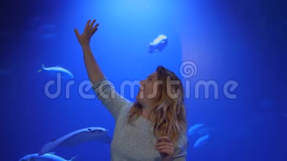 好奇的女人触摸水族馆的玻璃欣赏不同的水动物物种视频的预览图