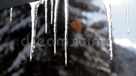 冬季从屋顶垂下的长冰柱视频的预览图