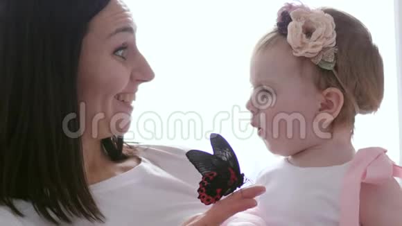 孩子惊讶地看着昆虫年轻的妈妈手里拿着大蝴蝶特写视频的预览图