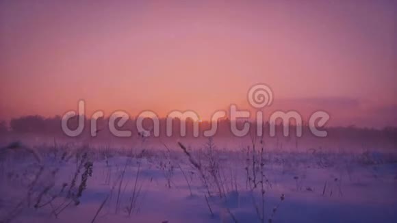 在美丽的冬林中升起倾斜周围是降雪的动画和日落时的雾视频的预览图