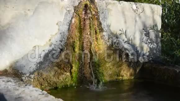 山喷泉供动物饮用视频的预览图