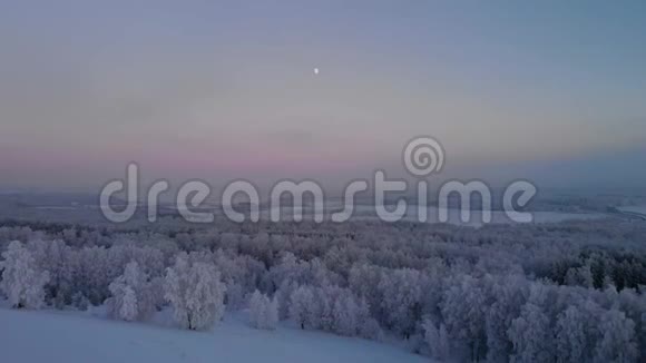 月光下夜冬森林的全景视频的预览图