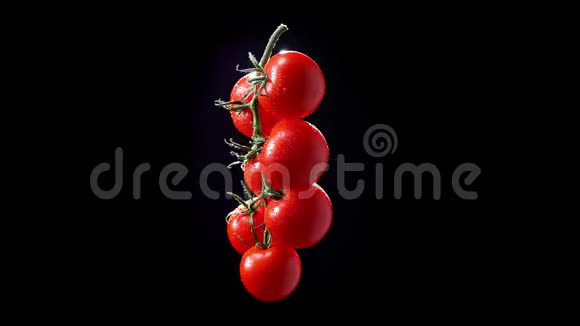 一串红色西红柿在黑色背景下顺时针快速旋转视频的预览图