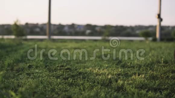 夏季在乡间修剪草坪视频的预览图