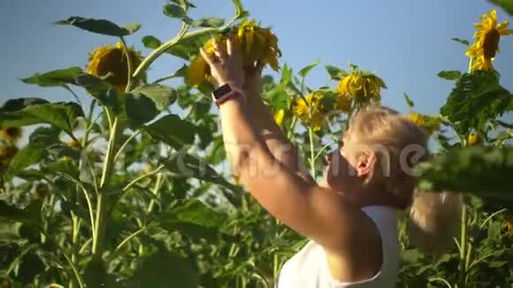 美丽快乐的金发女郎在向日葵上吃葵花籽视频的预览图