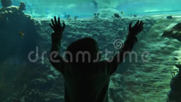 鱼的生命在水下世界博物馆里的孩子在纯净的蓝色水中有许多鱼视频的预览图