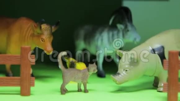 玩具动物视频的预览图