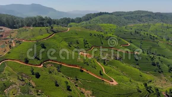 斯里兰卡的茶园从上面可以看到山景视频的预览图