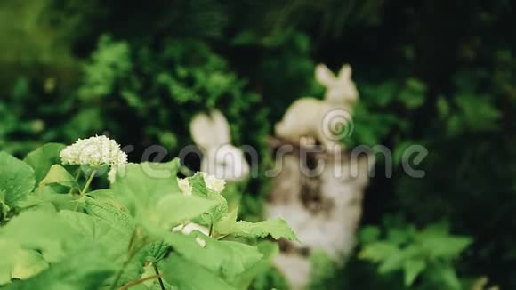 花园里野兔的酷姿可爱的花园装饰视频的预览图
