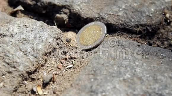 在街上找个硬币视频的预览图