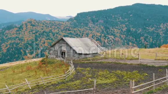 秋天在风景如画的喀尔巴阡山背景下为牛建造的废弃的旧木房子视频的预览图