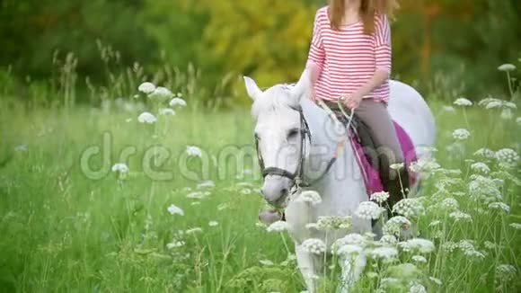 夏夜骑着马在草地上疾驰的年轻女子视频的预览图
