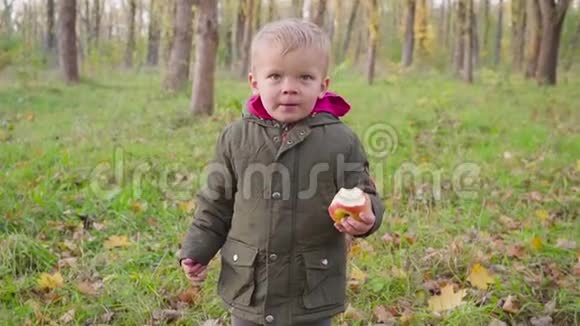 可爱的小宝宝在秋天的公园里黄叶在吃苹果视频的预览图