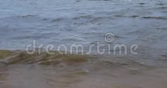 湖岸巨浪视频的预览图
