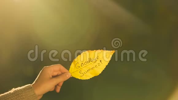 再见夏天写在秋叶上手握笔下金色的季节视频的预览图