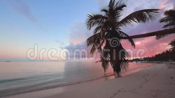 美丽的日出在加勒比海岛的异国海滩上蓝天下的热带海波视频的预览图