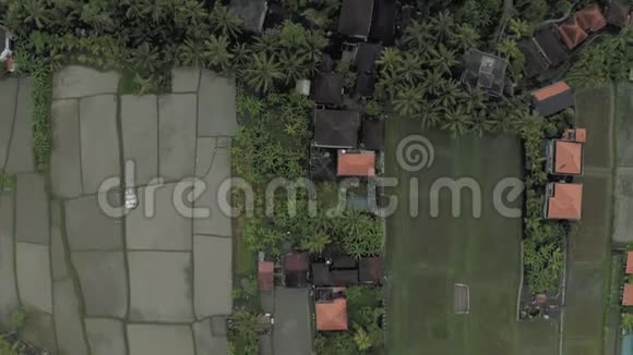 巴厘岛4K无人机飞行村房屋及稻田视频的预览图
