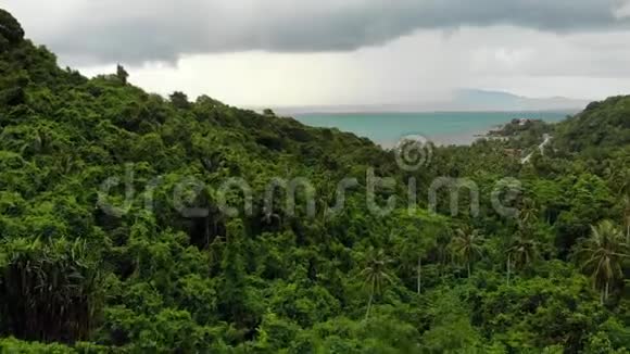 在热带岛屿上空盘旋灰色多云的天空绿色的手掌在苏梅岛潮湿的季节在泰国无人机视图视频的预览图