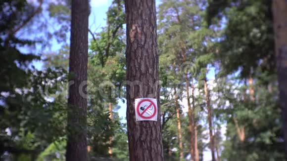 绿色区域禁止吸烟标志视频的预览图
