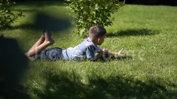 这个男孩正在草地上的公园里和一只小狗玩白天天气晴朗心情很好慢慢慢慢视频的预览图