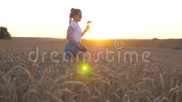 小女孩手里拿着麦秆和她的西伯利亚哈士奇在金色在金色的草地上慢跑快乐的女人视频的预览图