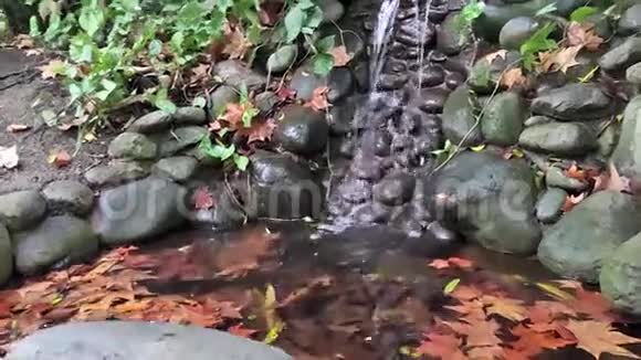 小瀑布与岩石运动植物园马拉加视频的预览图