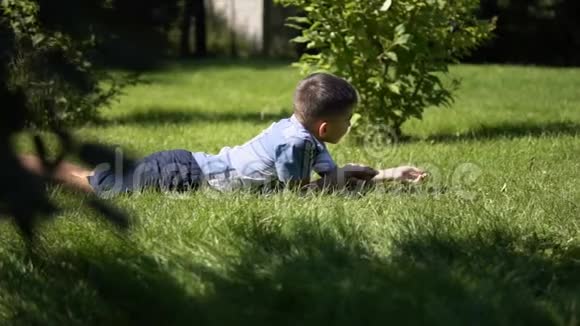 一个男孩正在草地上的公园里和一只小狗玩耍白天天气晴朗心情很好视频的预览图
