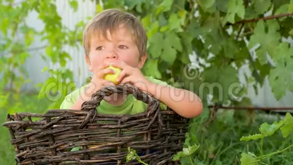 孩子坐在篮子里吃绿苹果户外活动公园里的孩子视频的预览图
