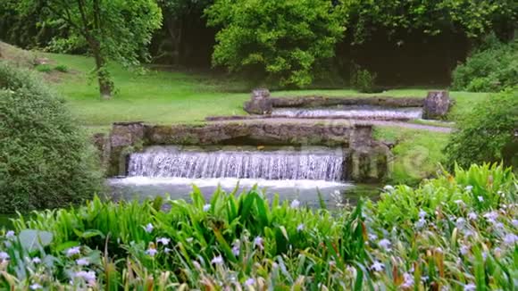 神奇的伊甸园喷泉4K视频的预览图