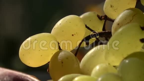 静物盘子上的桌子上放着水果旁边放着白兰白兰地的格拉斯视频的预览图