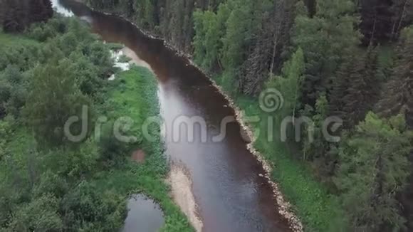 美丽的俄罗斯河流位于夏季白天的蓝色多云天空中靠近森林灌木花草和树木的混合地带视频的预览图