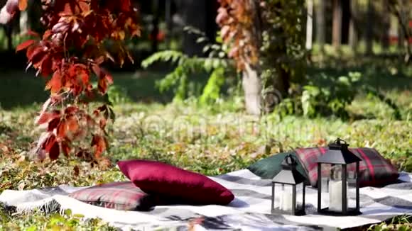 秋色园内观赏葡萄的红叶有选择的焦点模糊效应视频的预览图