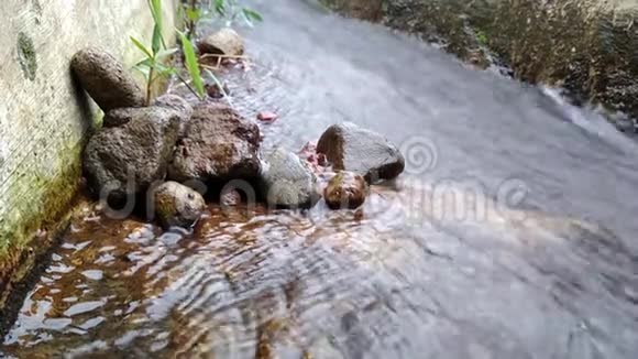 清澈的水流和河石视频的预览图