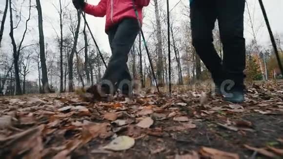 两位老年妇女用北欧的拐杖走路深秋在枯叶上行走慢动作视频的预览图