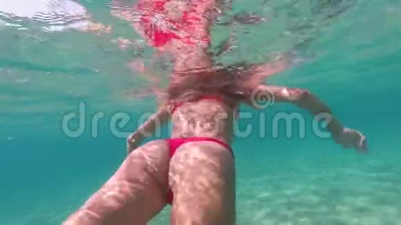 美丽的女人在碧蓝的海水中游泳视频的预览图