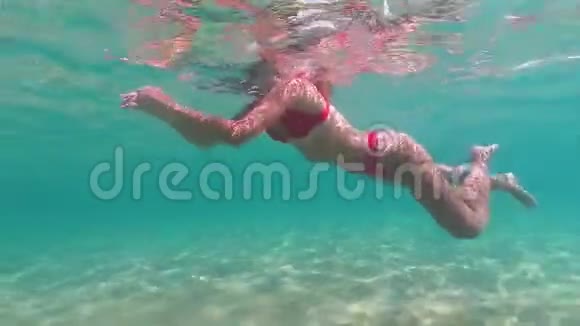 美丽的女人在碧蓝的海水中游泳视频的预览图