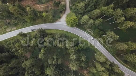 从空中俯瞰森林中央的道路汽车经过视频的预览图