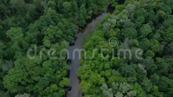 鸟瞰美丽的风景河流在绿色的落叶森林中流动以不同的速度拍摄视频的预览图